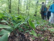 Zaproszenie na spacer przyrodniczy na terenie Rezerwatu Żurawiniec