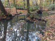 Zaproszenie na spacer przyrodniczy w dolinie Bogdanki