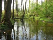 Zatwierdzono projekty zestawienia przychodów i wydatków Gminnego i Powiatowego Funduszu Ochrony Środowiska na rok 2009.