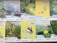 ZIELEŃ I PRZYRODA = WAKACYJNA PRZYGODA