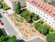 Zieleń zamiast bruku