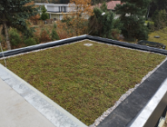 Zielone dachy i ogrody wertykalne