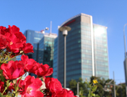 Zmiany klimatu w Poznaniu