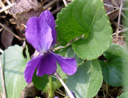 Życzenia z okazji Świąt Wielkanocnych