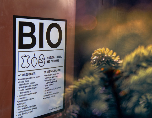 Odebrane od mieszkańców drzewka zostaną rozdrobnione i trafią do poznańskiej Biokompostowni Brązowy pojemnik na odpady biodegradowalne obok gałązka zielonej choinki.