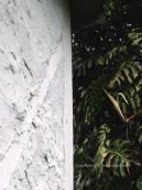 fragment muru budynku