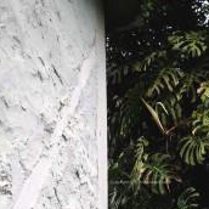 fragment muru budynku