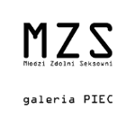 Na grafice na białym tle czarny napis MZS - młodzi zdolni seksowni