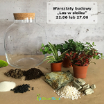 las w słoiku