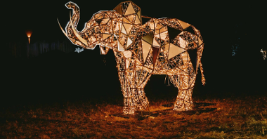 Instalacja słonia, który składa się z luster i światełek.