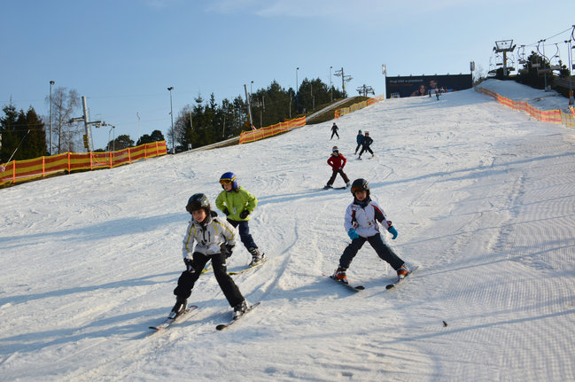 Grupa dzieci zjezdża na nartach na stoku narciarskim nad Maltą. - grafika artykułu