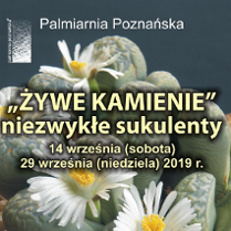 Fragment ekspozycji na zdjęciu. Żółte napisy - data i nazwa wystawy.